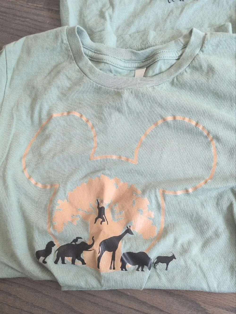 Custom Family Disney Animal Kingdom Matching Shirts Set